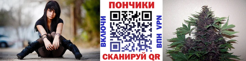 блэк спрут зеркало  Опочка  Конопля MAZAR 
